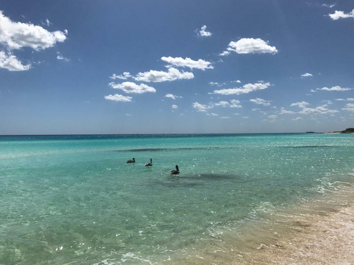 פלאייה דל כרמן Villa Ikal מראה חיצוני תמונה